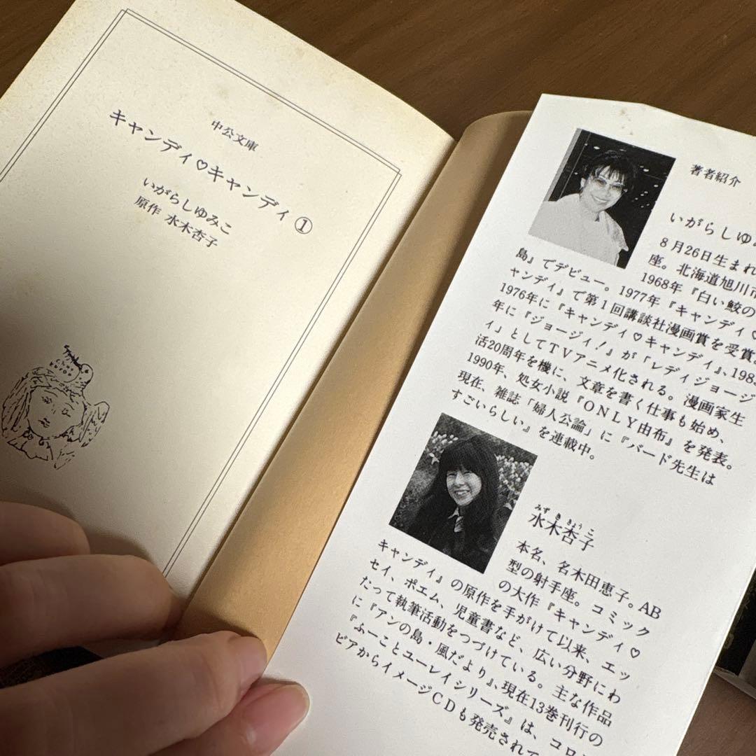 【初版】キャンディ♡キャンディ いがらしゆみこ 文庫版 漫画 全巻セット
