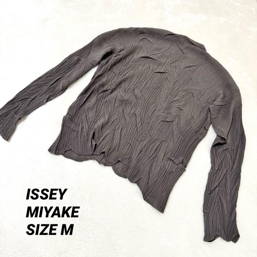 極美品✨ISSEY MIYAKE 立体プリーツ　変形　オーバーサイズ　トップス