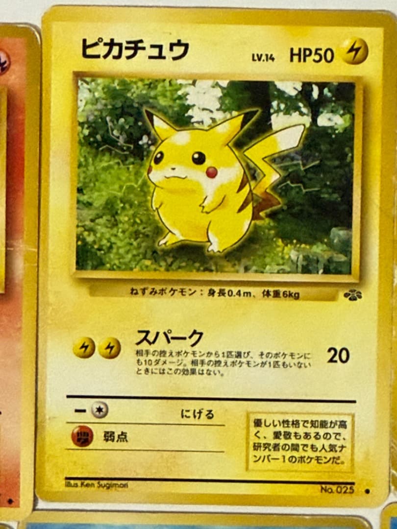 旧裏　まとめ売り　セット　ピカチュウ　トレーナー　TRAINER　等