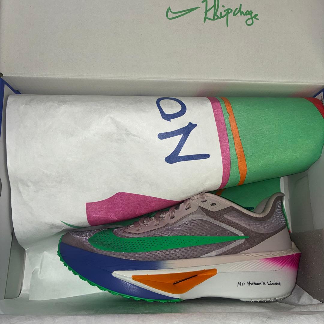 NIKE ズームフライ6 25.0cm EK