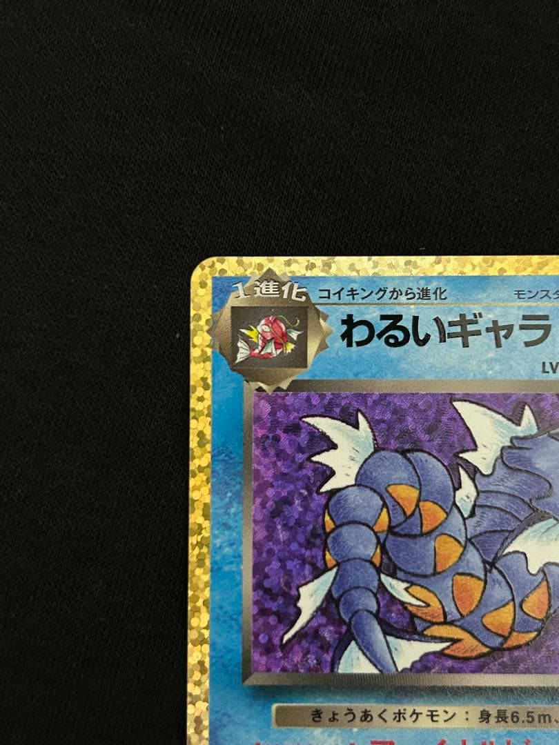 【極美品】ひかるコイキング プロモカードパック 25th ANNIVERSARY