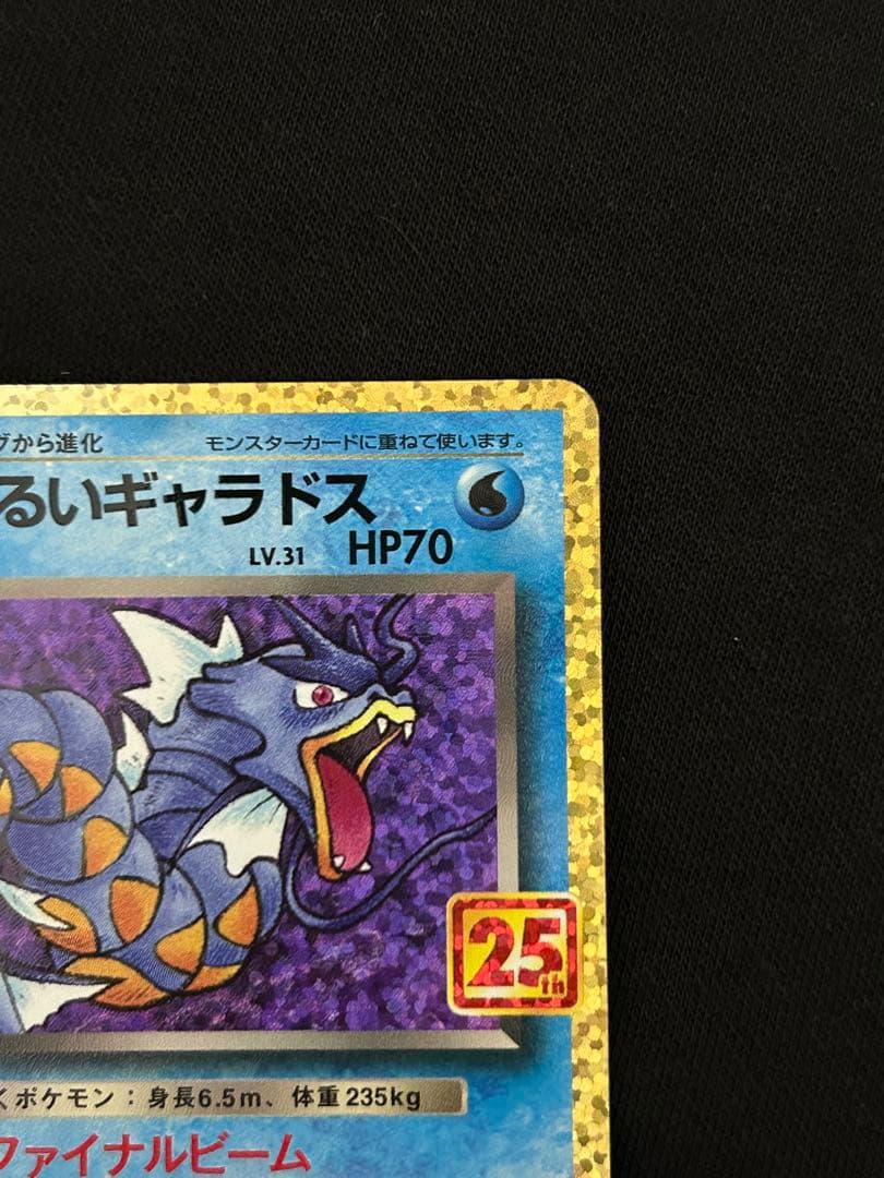 【極美品】ひかるコイキング プロモカードパック 25th ANNIVERSARY