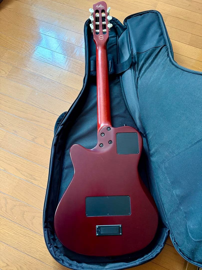 Godin Multiac Nylon Encore ゴダン　エレガット