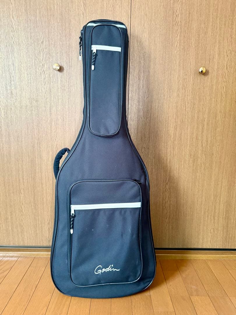 Godin Multiac Nylon Encore ゴダン　エレガット