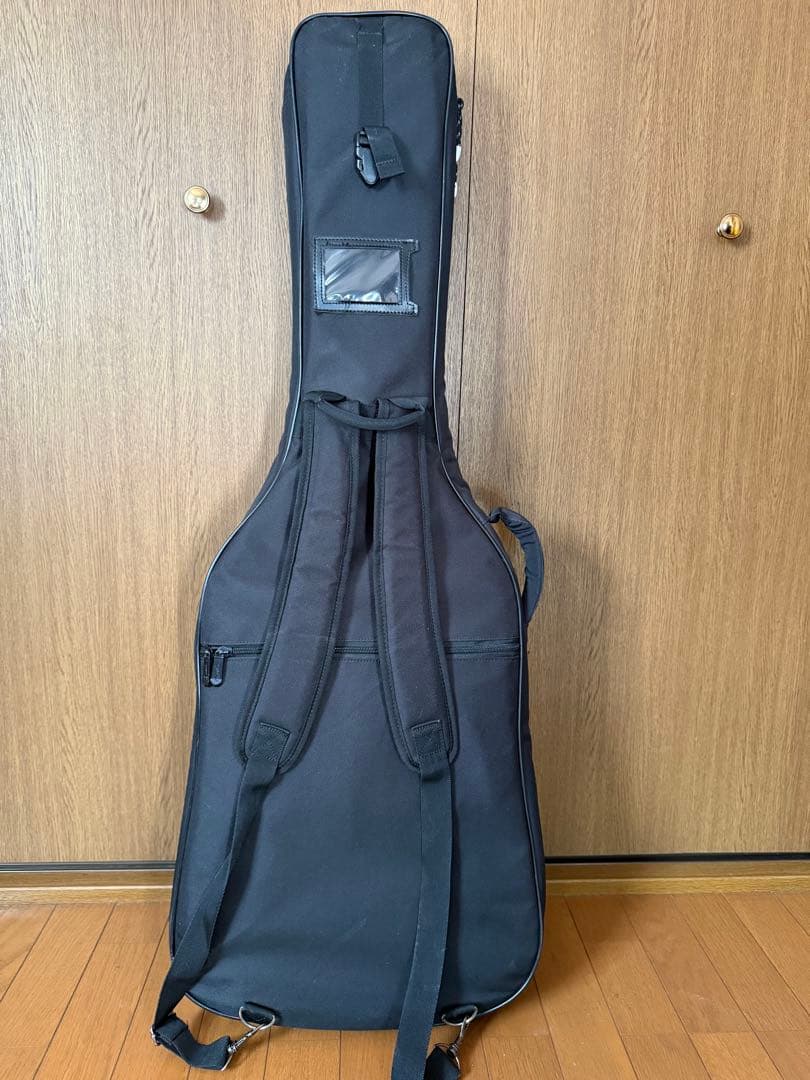 Godin Multiac Nylon Encore ゴダン　エレガット