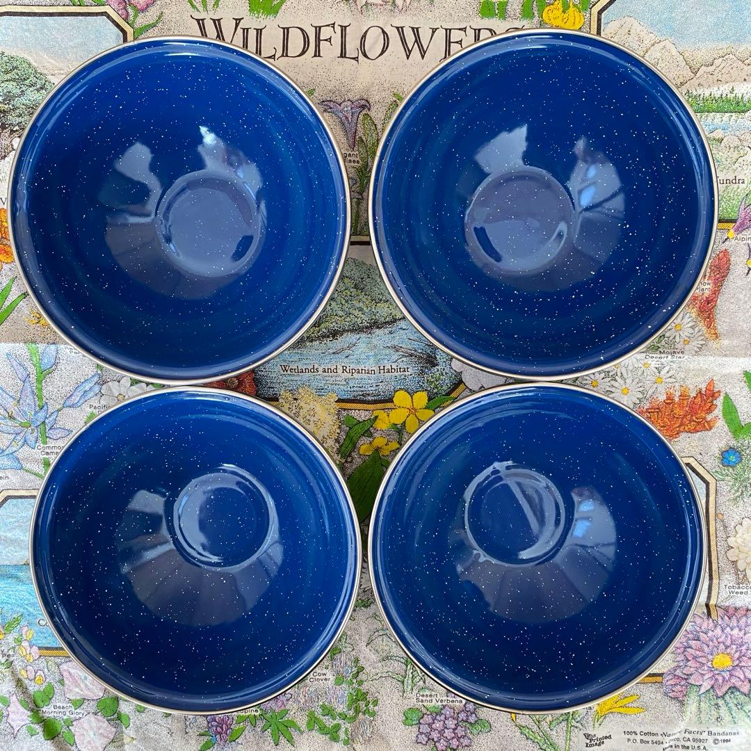 GSI ジーエスアイ　パイオニア　ホーロー 食器セット　（※１２点セット）