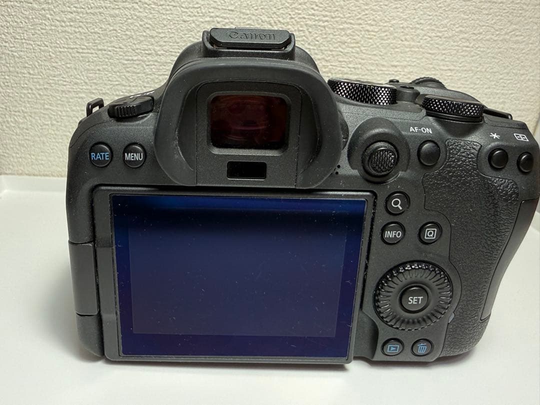 【美品】 EOS R6 Mark II レンズキット(保証書付き)