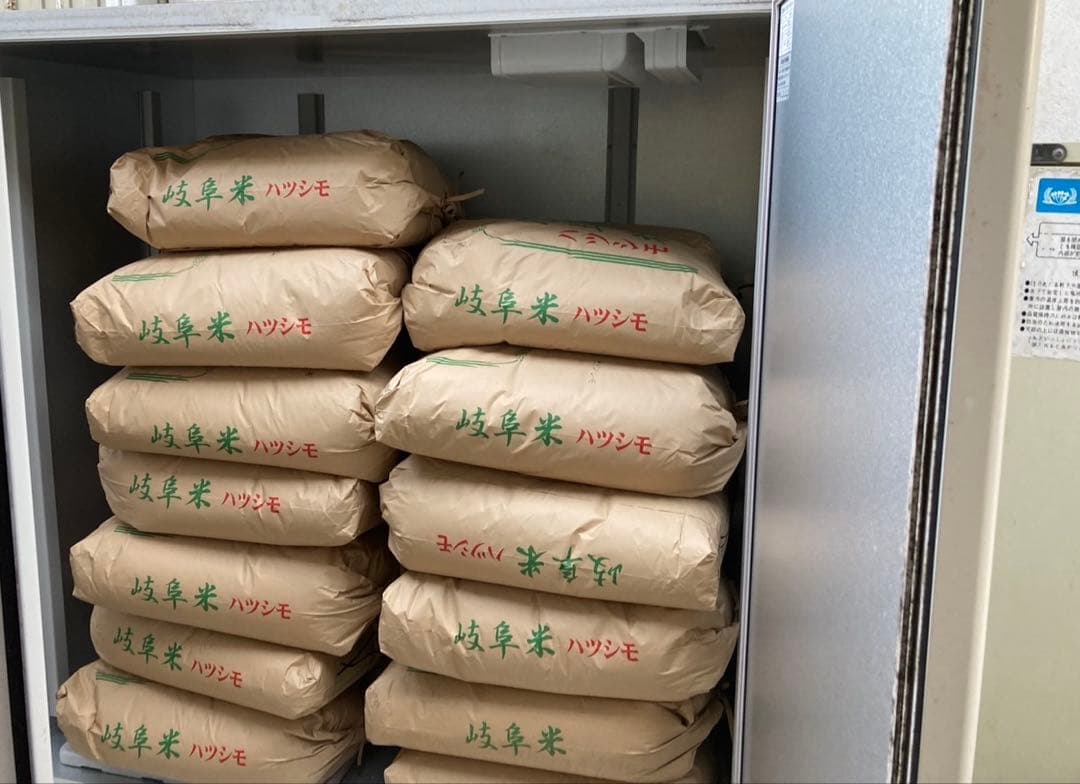 購入前コメント必須　岐阜米 ハツシモ 30kg