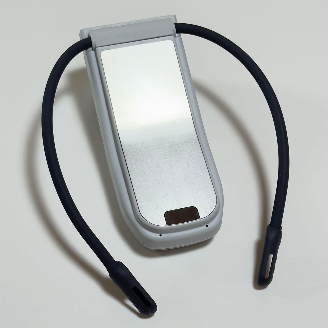 寒い冬にも活躍！ SONY ソニー レオンポケット プロ