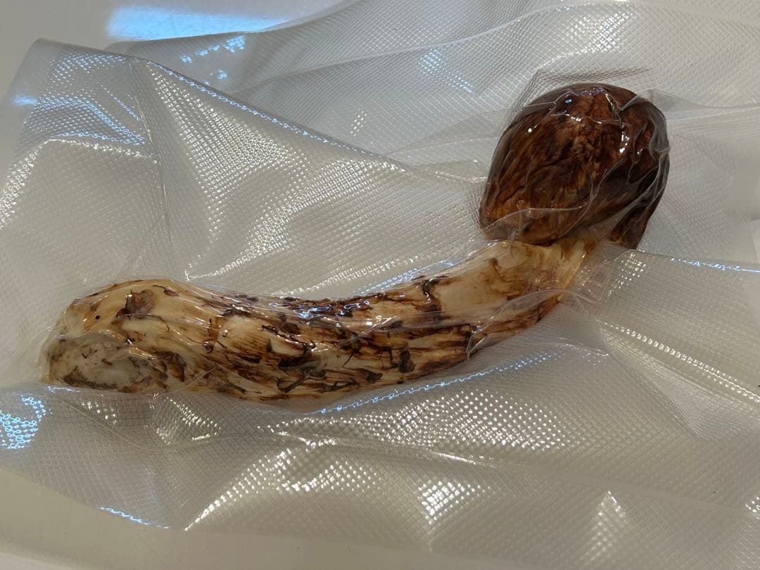 ☆信州産松茸☆ツボミの20センチオーバー冷凍松茸、約150グラム☆国産松茸☆⑳☆