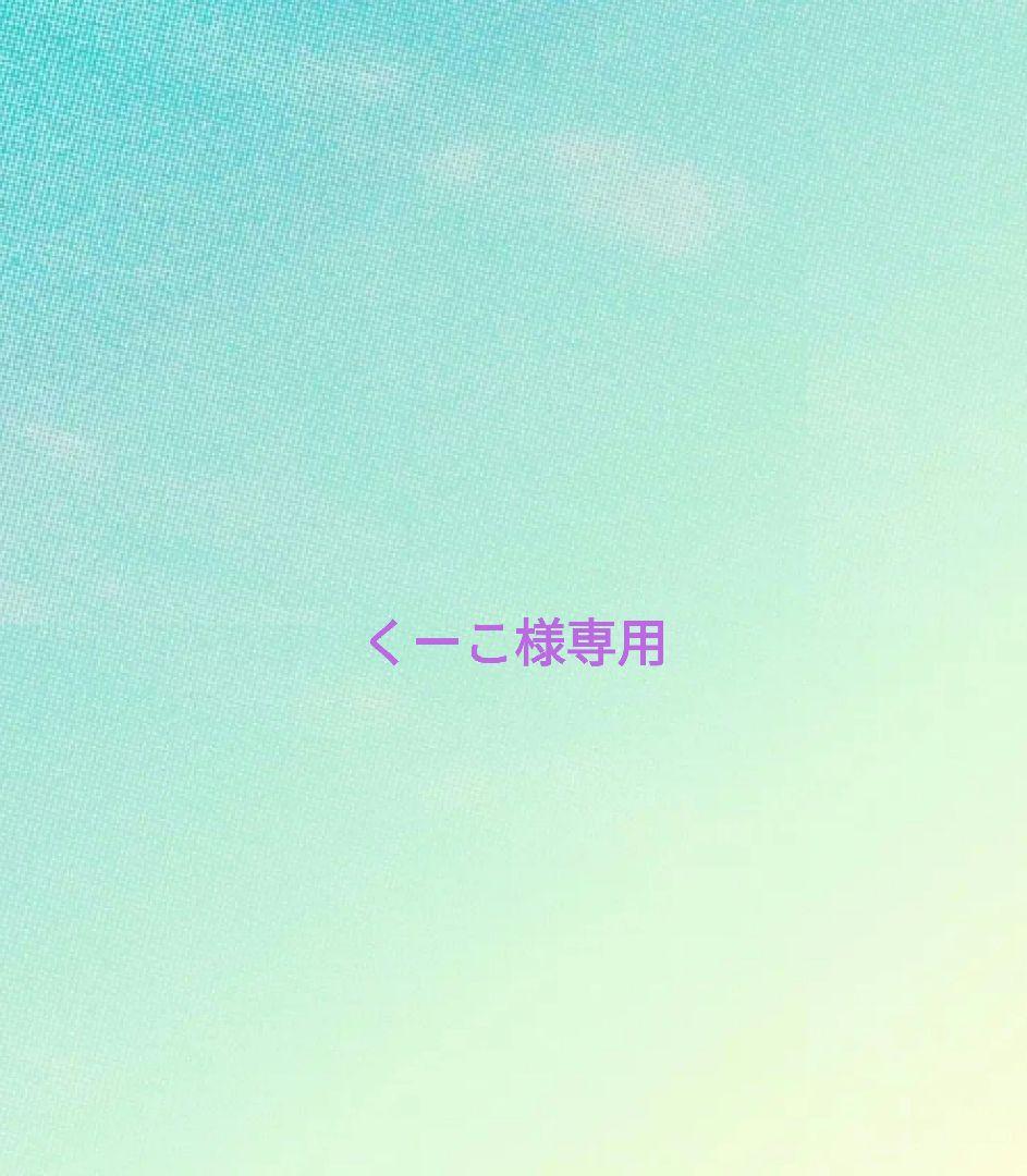 くーこ バッグ2点