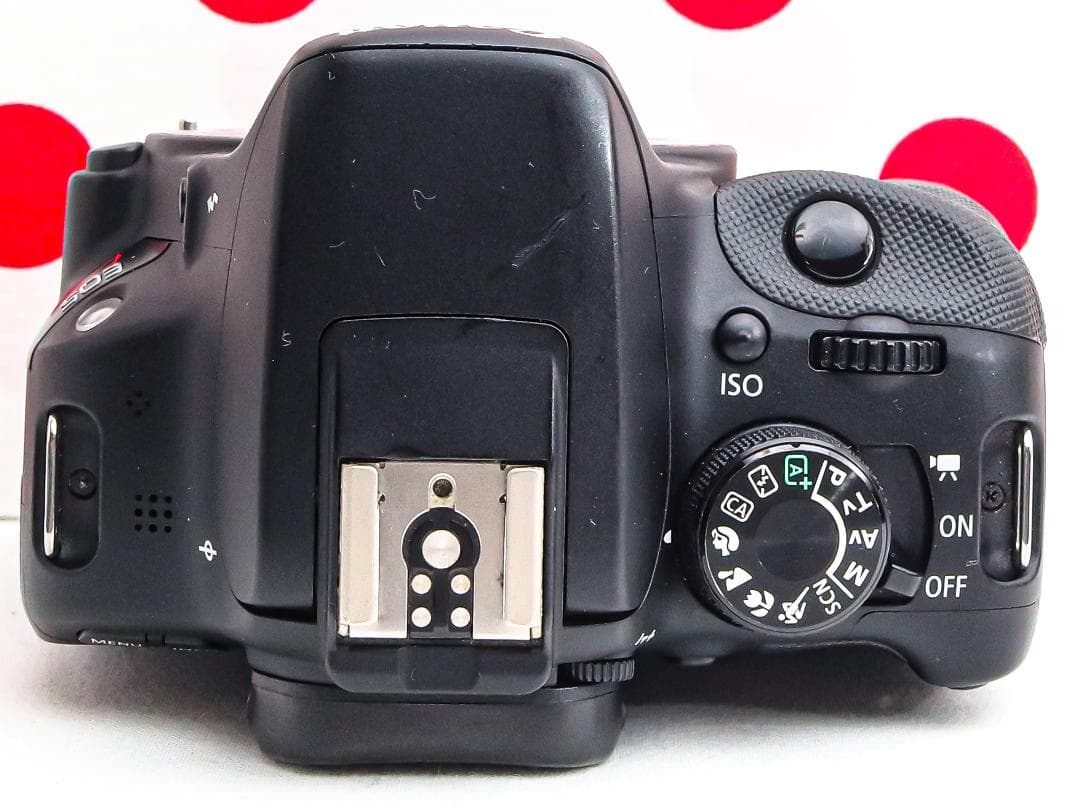 Canon kiss x7❤初めての一眼レフに❤スマホに送れる♪❤コスパ最強