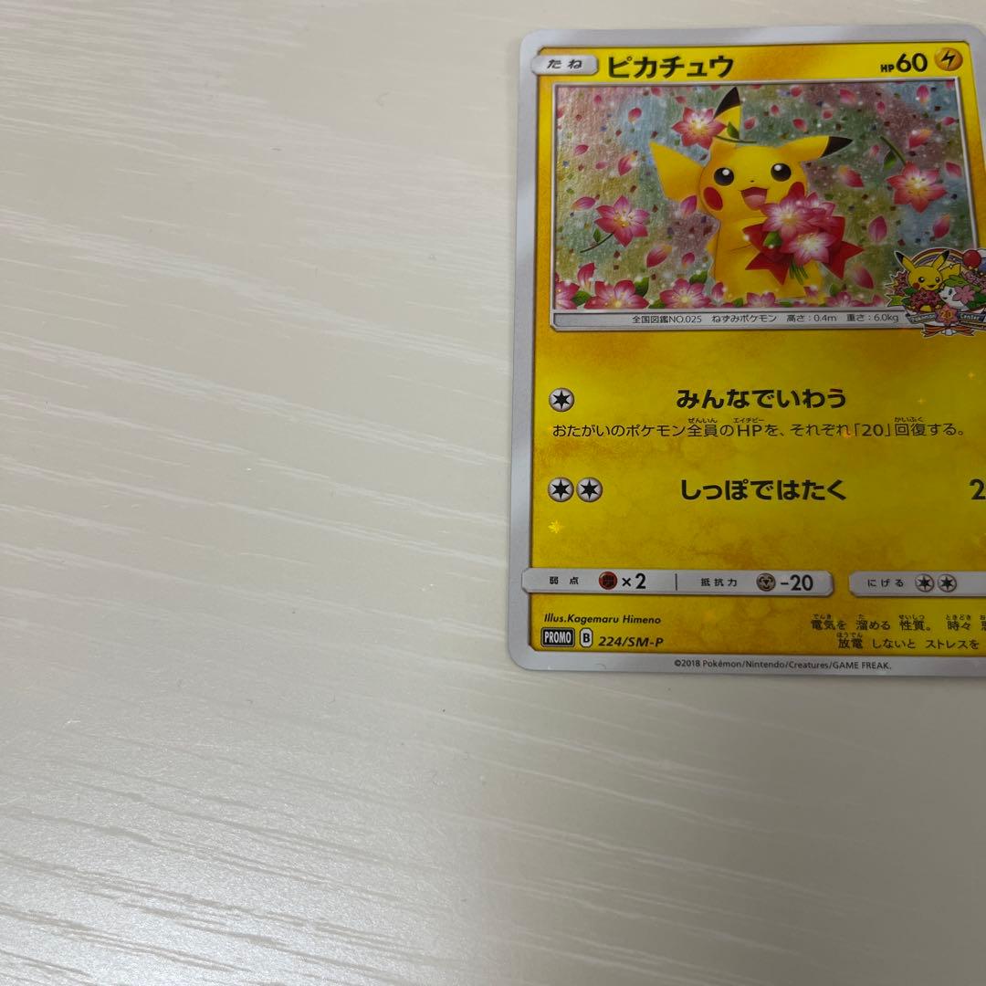 ポケモンカード　ピカチュウ　プロモカード　224/SM-P みんなでいわう