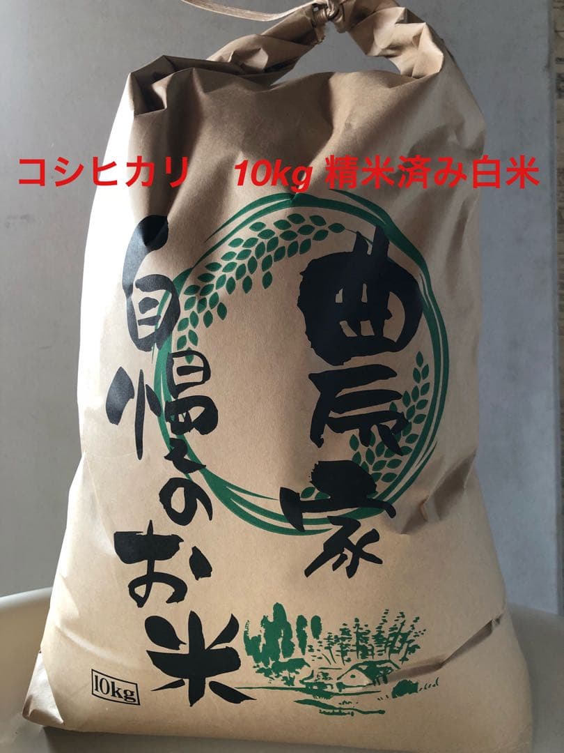コシヒカリ10kg 精米済み白米　2025年収穫分　三重県産　お米