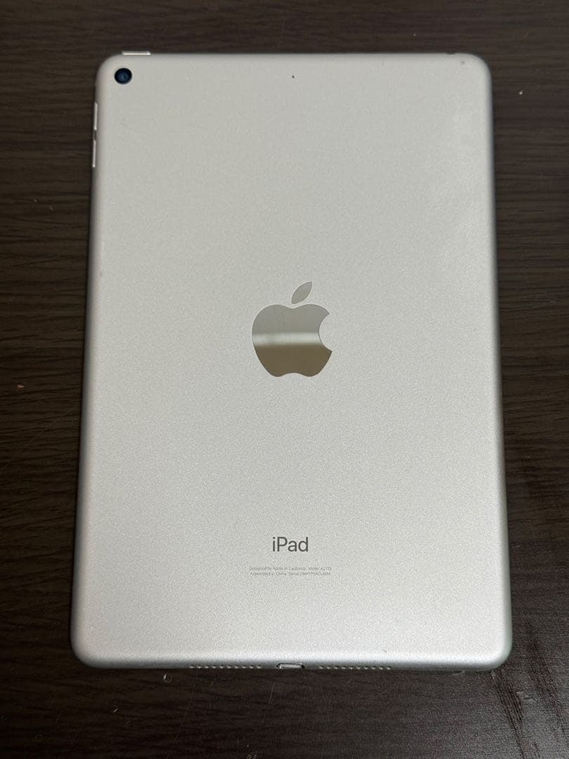 iPad mini第5世代本体とおまけ付き