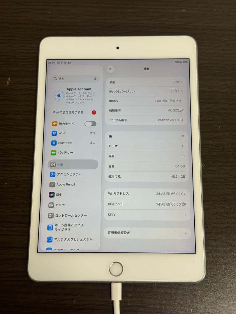 iPad mini第5世代本体とおまけ付き