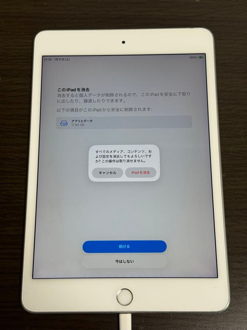 iPad mini第5世代本体とおまけ付き
