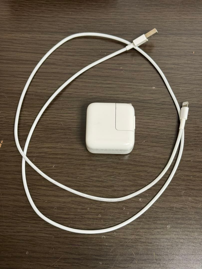 iPad mini第5世代本体とおまけ付き