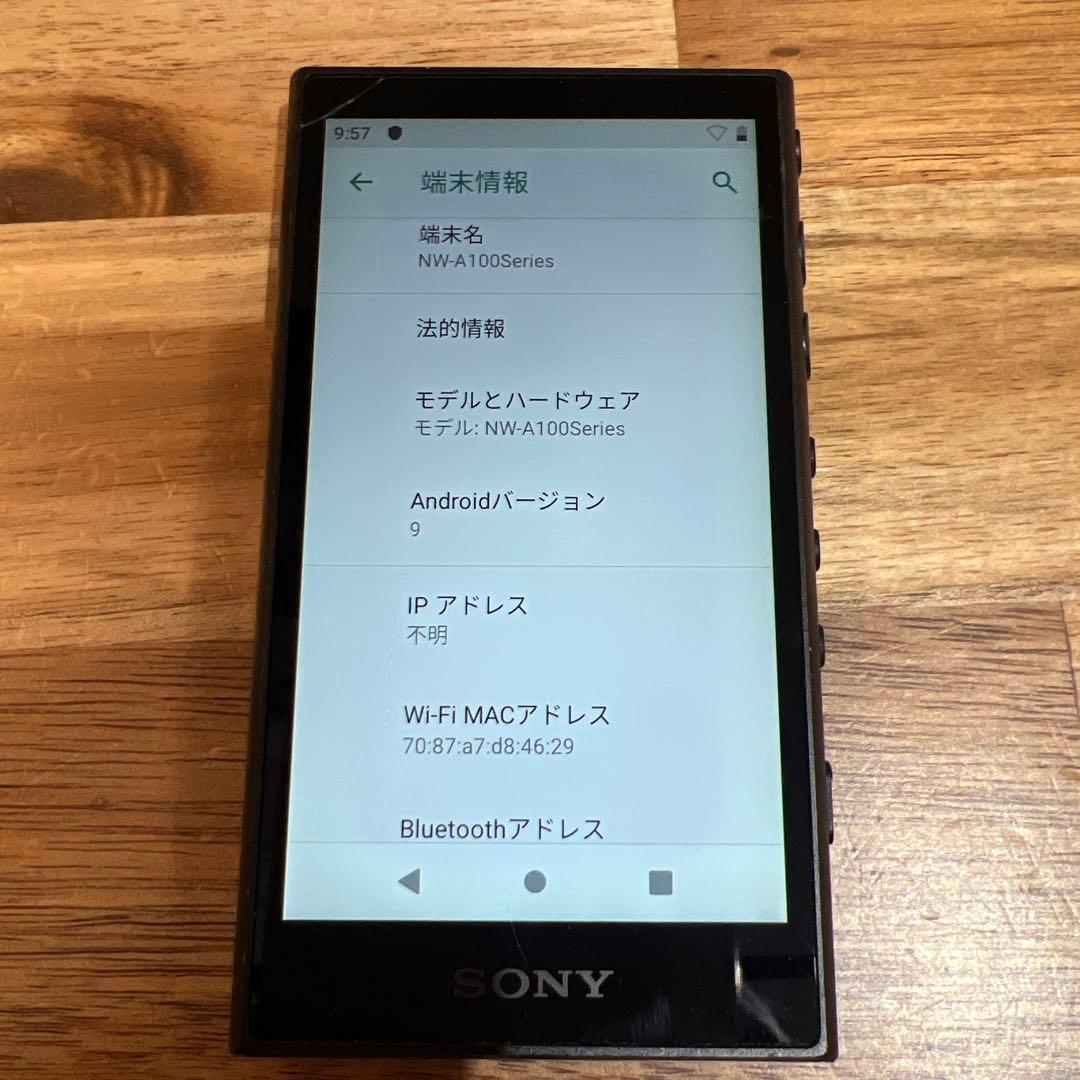 ポータブルプレーヤー C743 SONY Walkman NW-A100 series 16GB