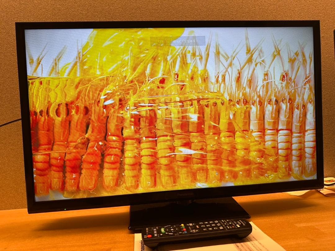 Panasonic　パナソニック 32型 テレビ TH-32G300 超極美品！