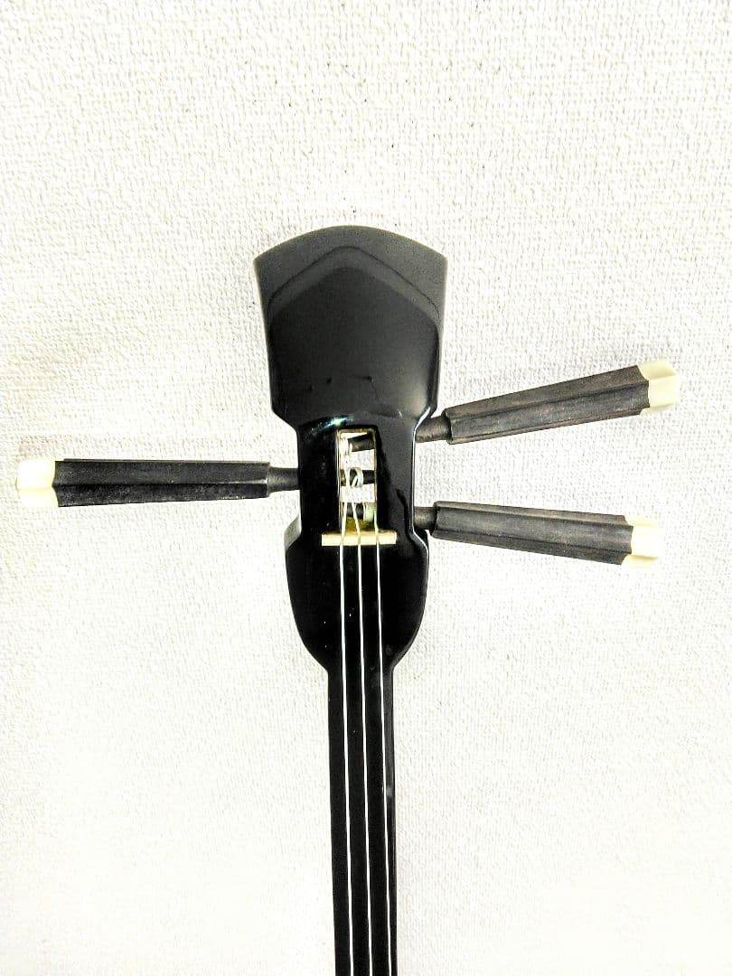 沖縄三線　人工皮　セミハードケース付き