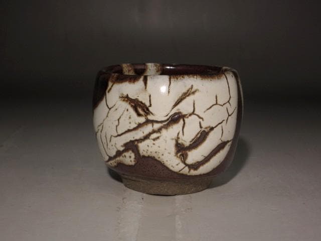 人間国宝　清水卯一　蓬菜盃　美しい景色 r449