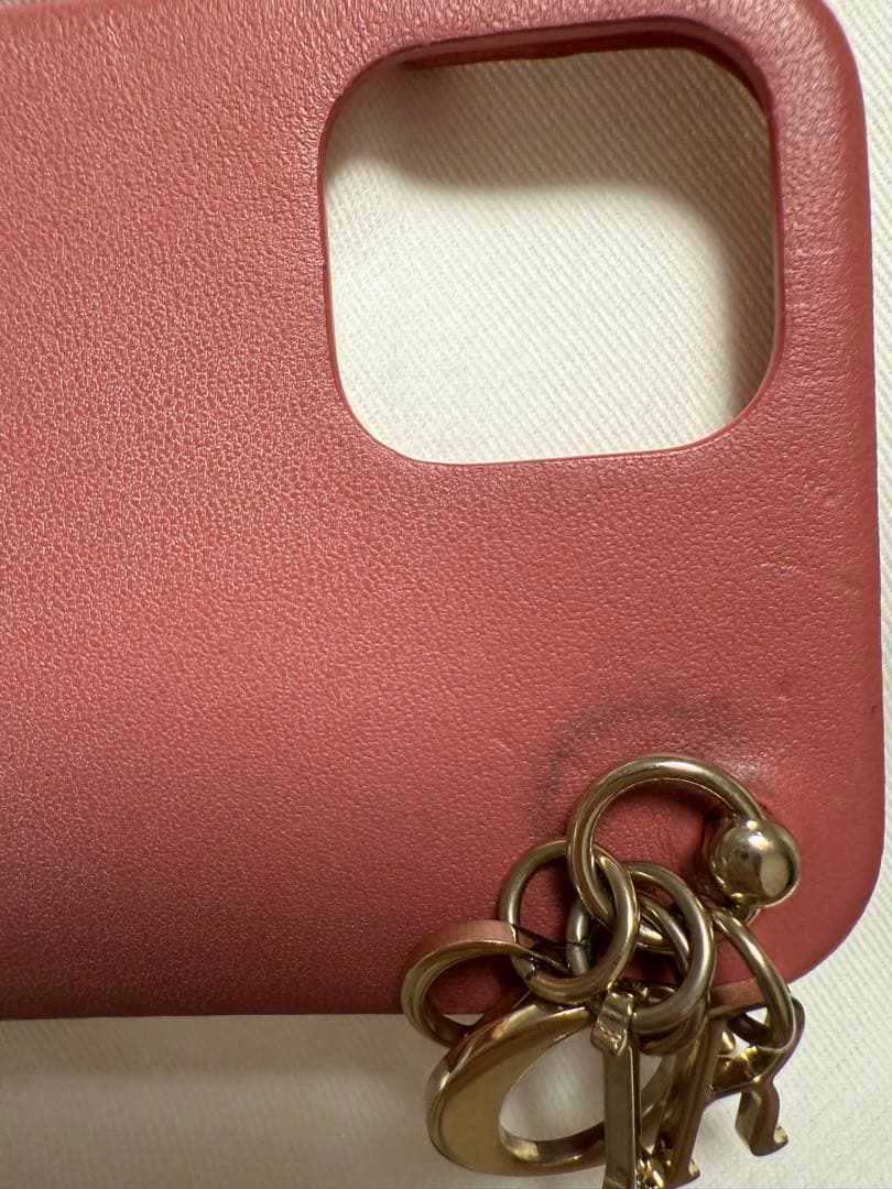 Dior iPhoneケース iPhone12 12Pro