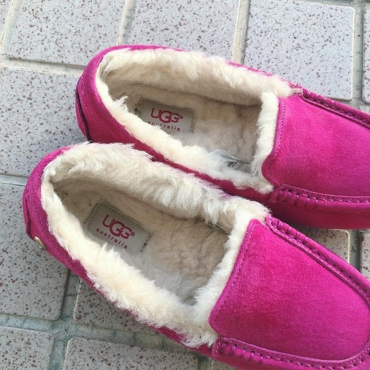 UGG♡定番Ansley♡派手ピンク6♡ノードストローム購入♡アグ♡アンスレー♡