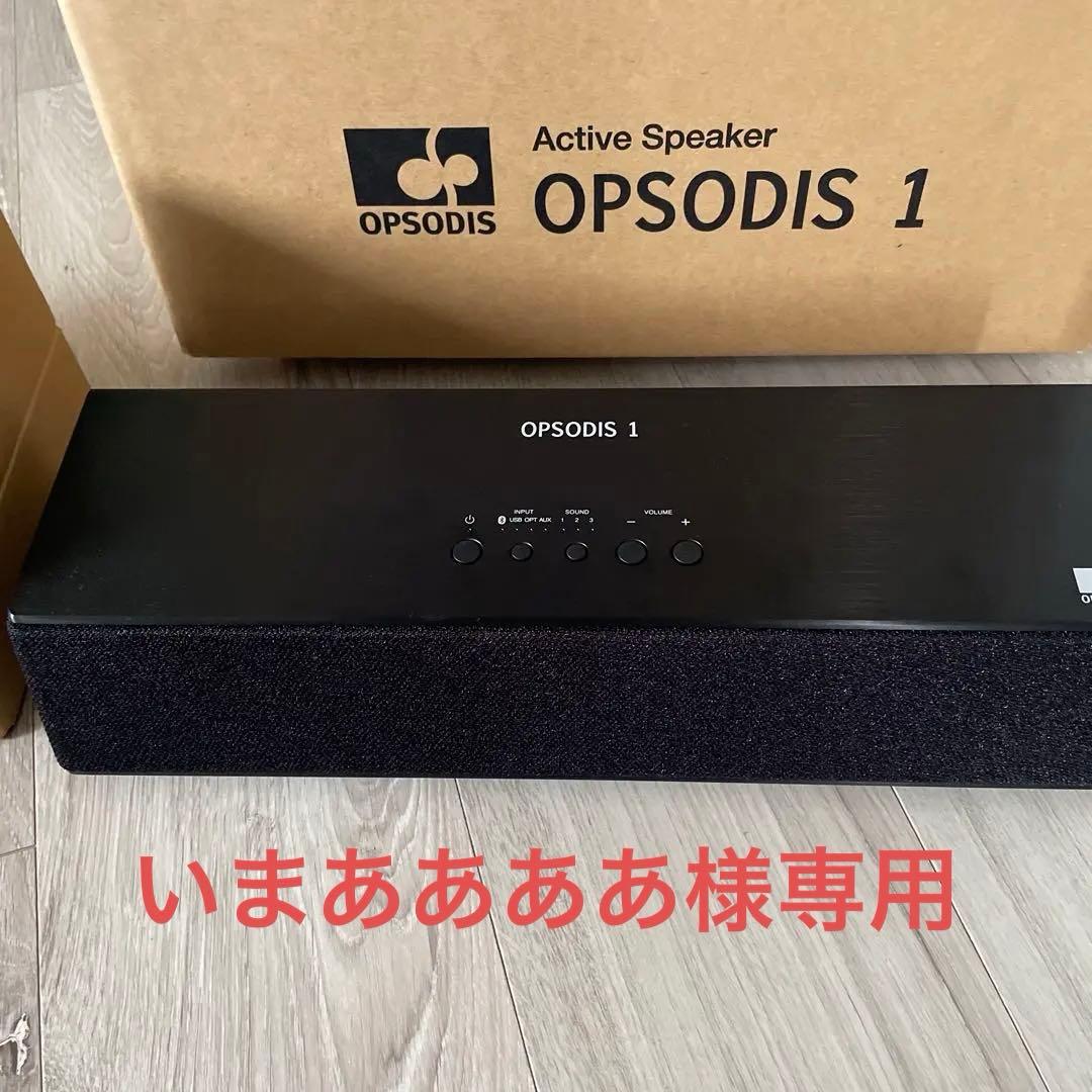鹿島建設　OPSODIS 1