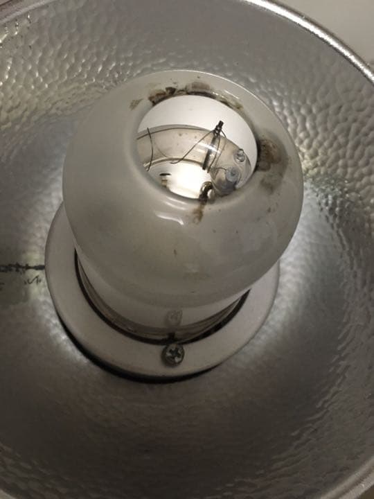 【動作確認済み】Pro-5 1台2灯　有線シンクロコード付き