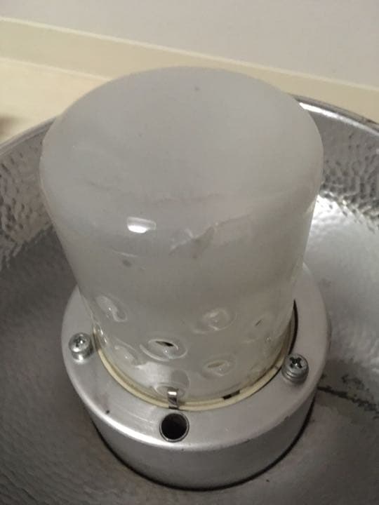 【動作確認済み】Pro-5 1台2灯　有線シンクロコード付き