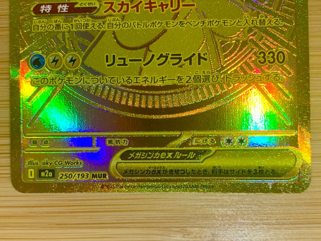 メガカイリュー ex mur (ケース付き)