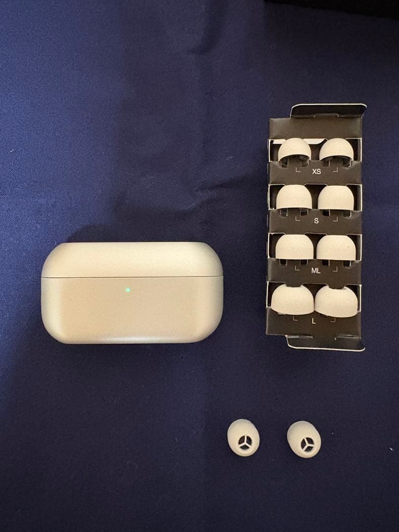 Technics ワイヤレスイヤホン AZ-100 シルバー