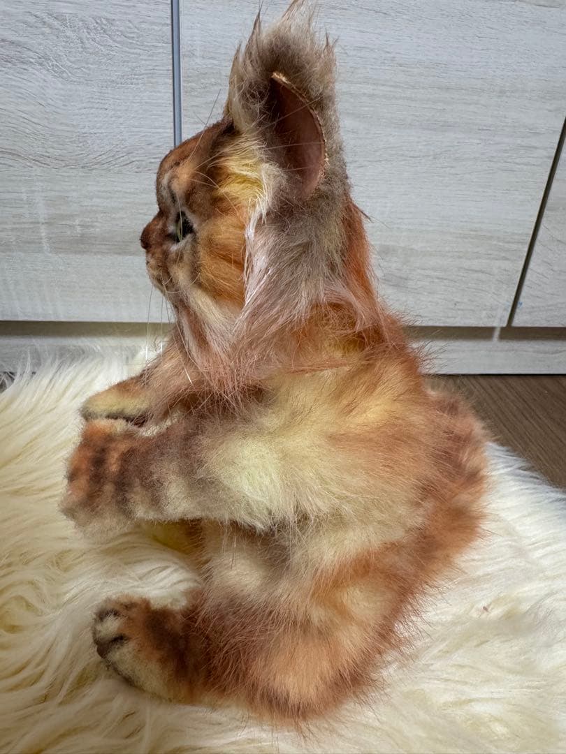 海外作家様作　アートドール　サイベリアン　猫