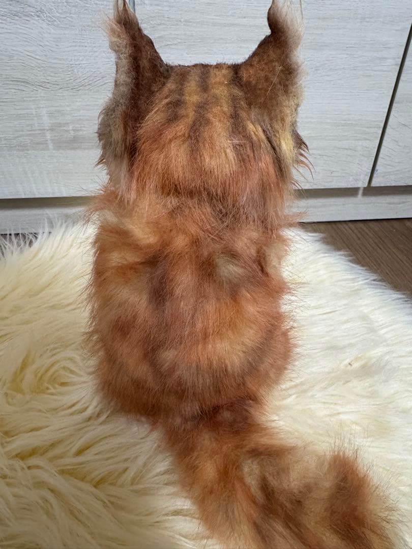 海外作家様作　アートドール　サイベリアン　猫