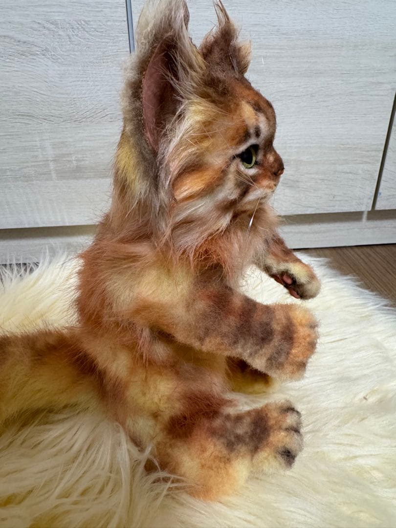 海外作家様作　アートドール　サイベリアン　猫