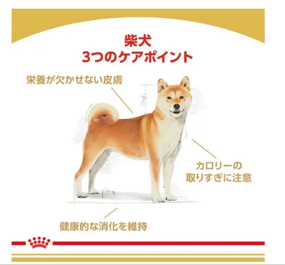 ロイヤルカナン　柴犬成犬用　8キロ