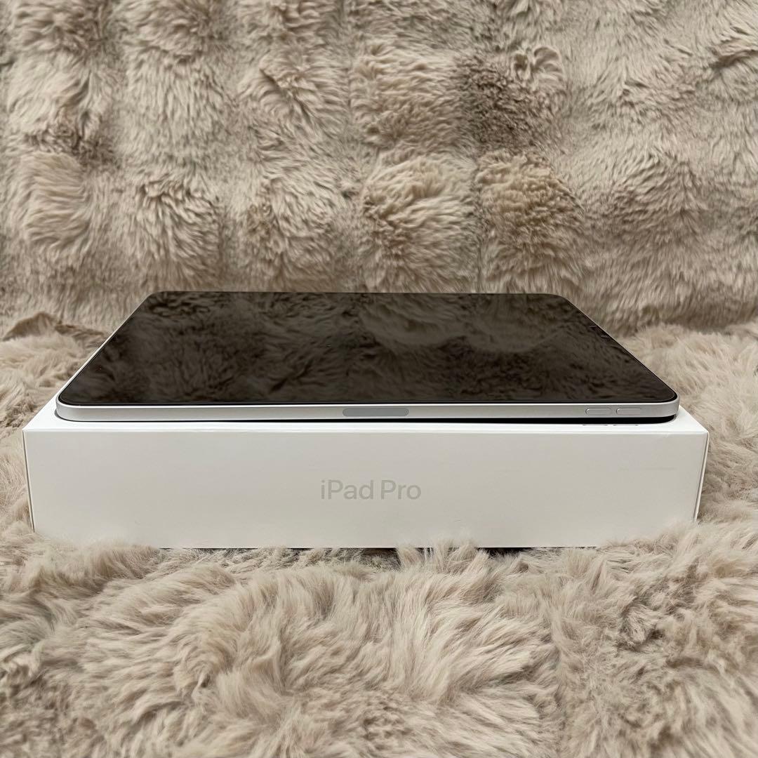 iPad pro 11インチ (第4世代)256GB