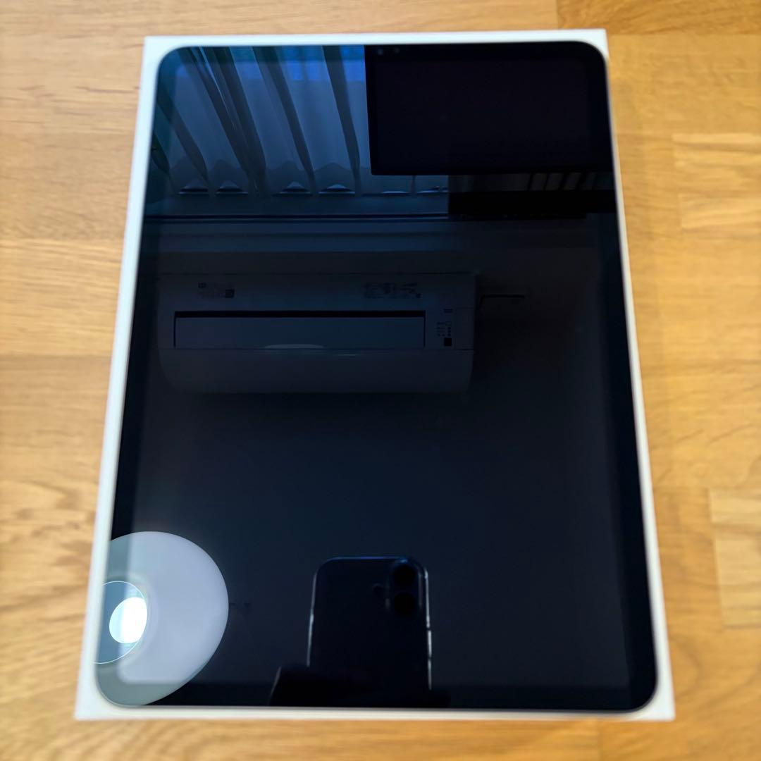 iPadPro11インチ 第1世代256GB