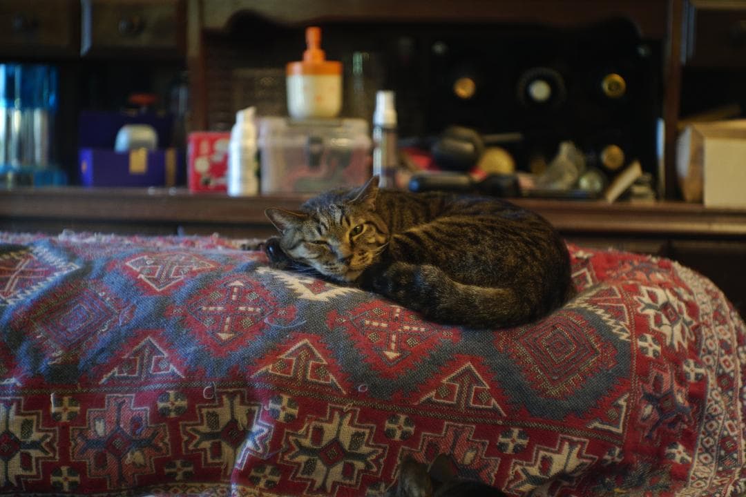 Leica Hektor 7.3cm f1.9 L39 ヘクトール73mm