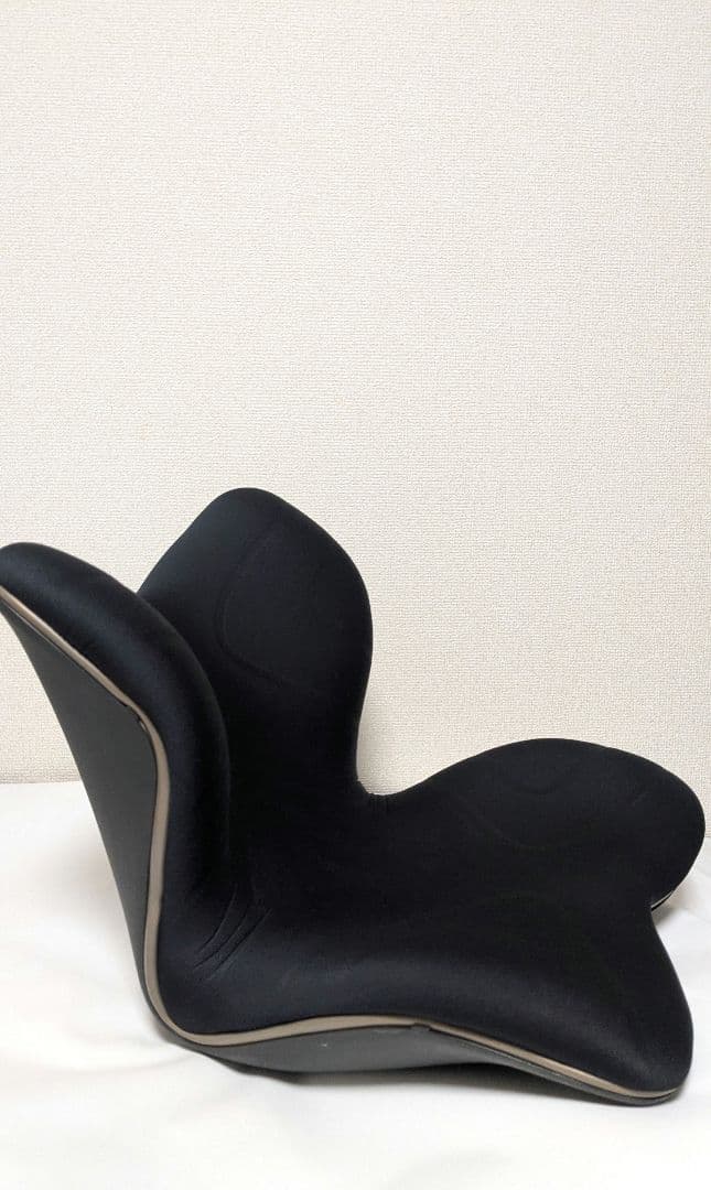 MTG スタイルプレミアム STYLE PREMIUM骨盤サポート ブラック