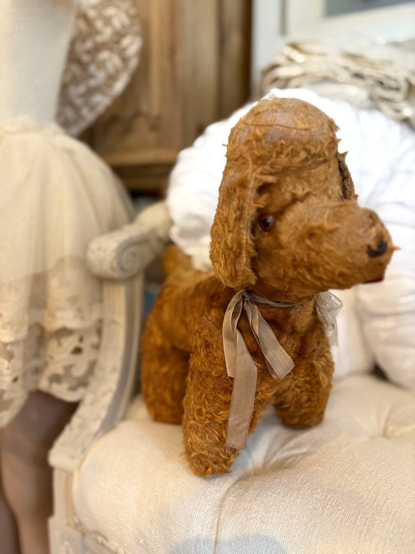 フランスアンティーク 犬 アンティークテディベア アンティークベア