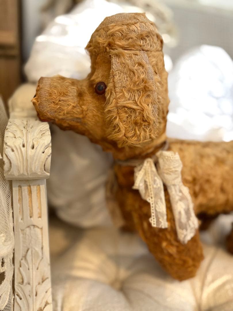 フランスアンティーク 犬 アンティークテディベア アンティークベア