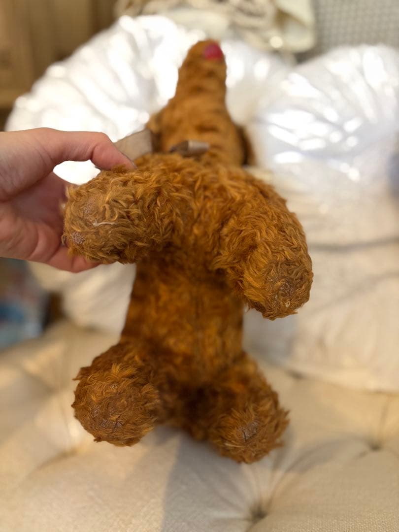 フランスアンティーク 犬 アンティークテディベア アンティークベア