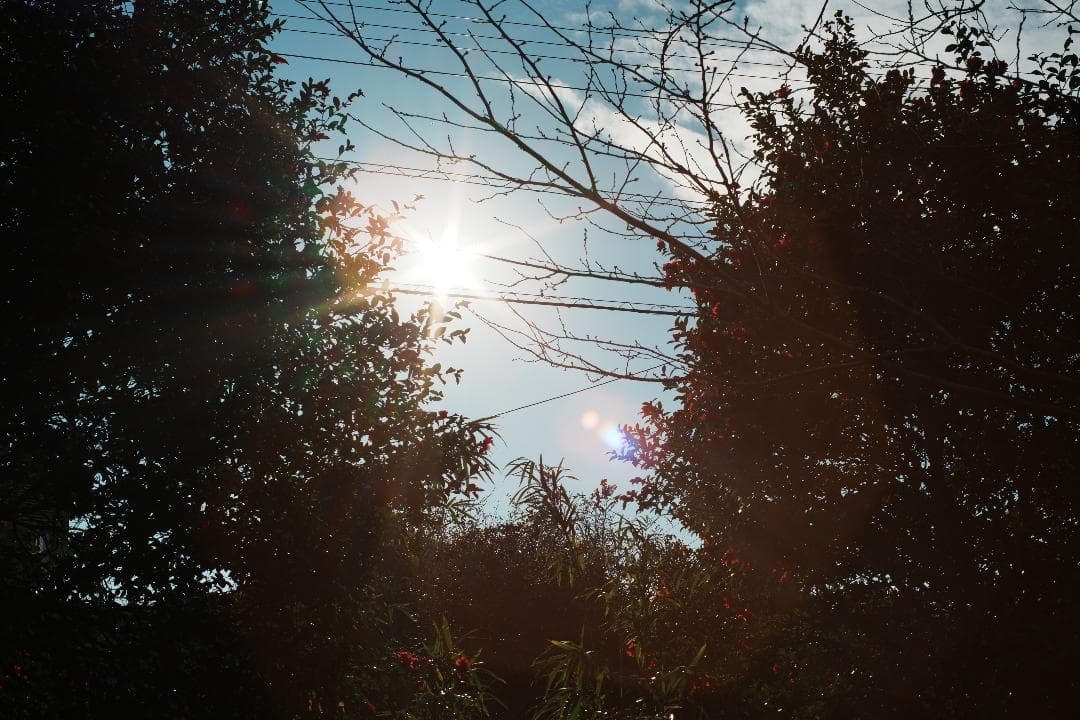 【この値段でライカ級】富岡光学製 XR RIKENON 50mm F2 040