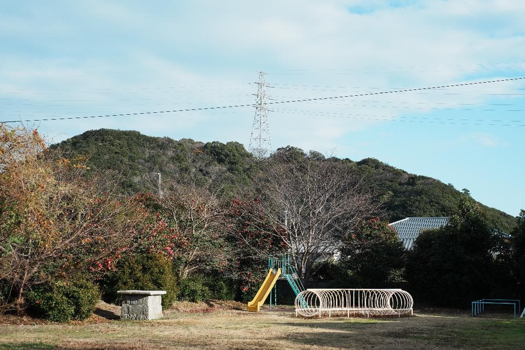 【この値段でライカ級】富岡光学製 XR RIKENON 50mm F2 040