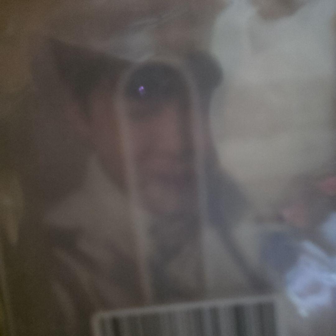 ジミン　トレカ　レア　K-POP トレーディングカードセット