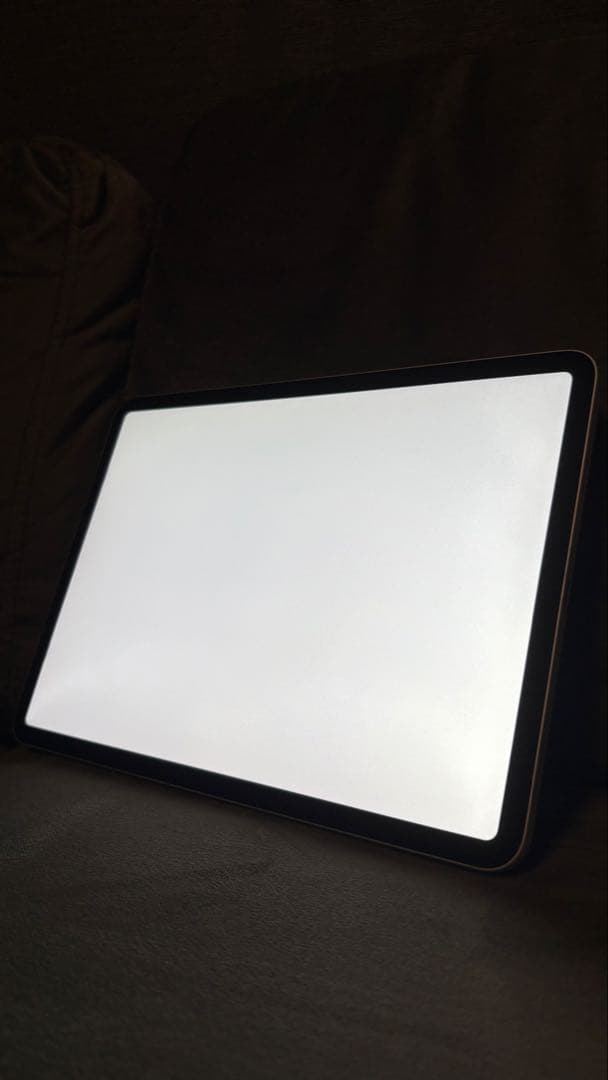 Apple iPad Pro 11inch 第2世代 純正マジックキーボード付き