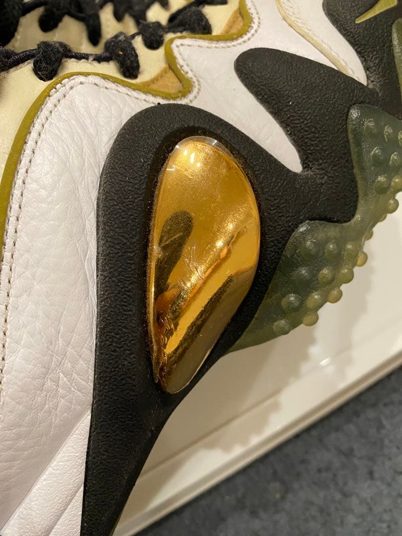 Nike Zoom uptempo5 zoomfright5 バッシュ　田臥勇太