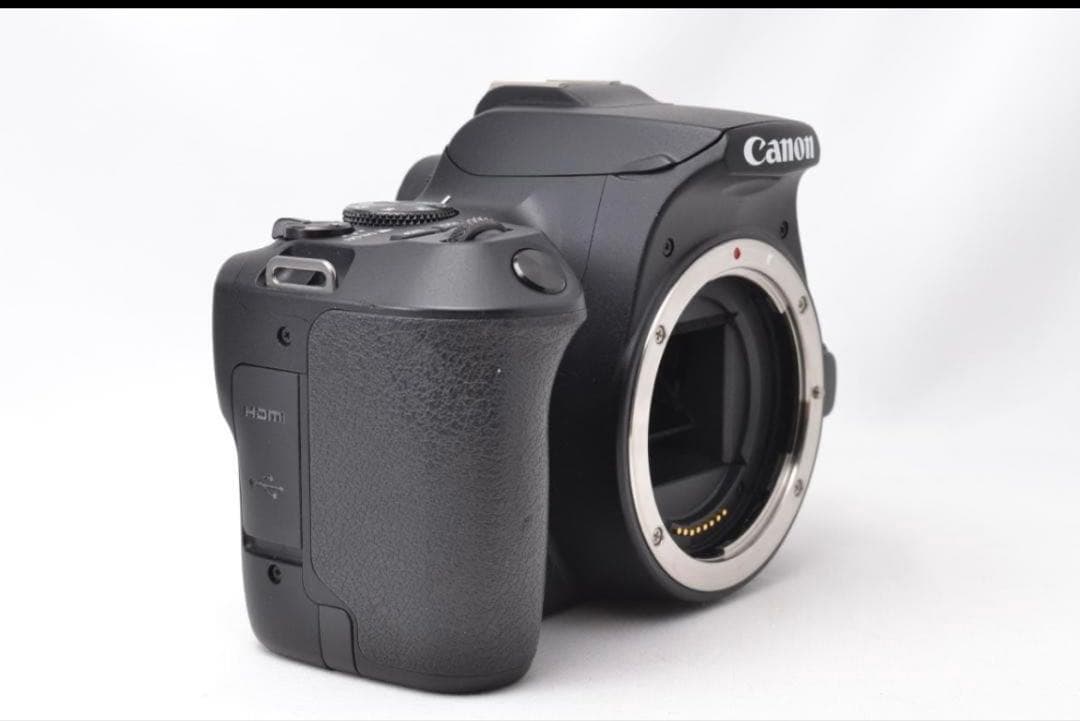 ■ 美品 ■ キャノン　Canon Kiss X10 レンズキット